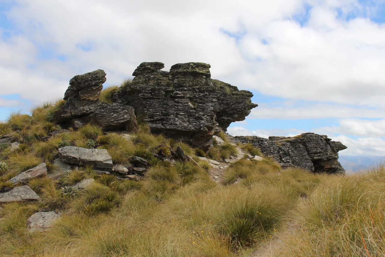 Welcome Rock Trails - Southland, New Zealand - Credit Great South (15)