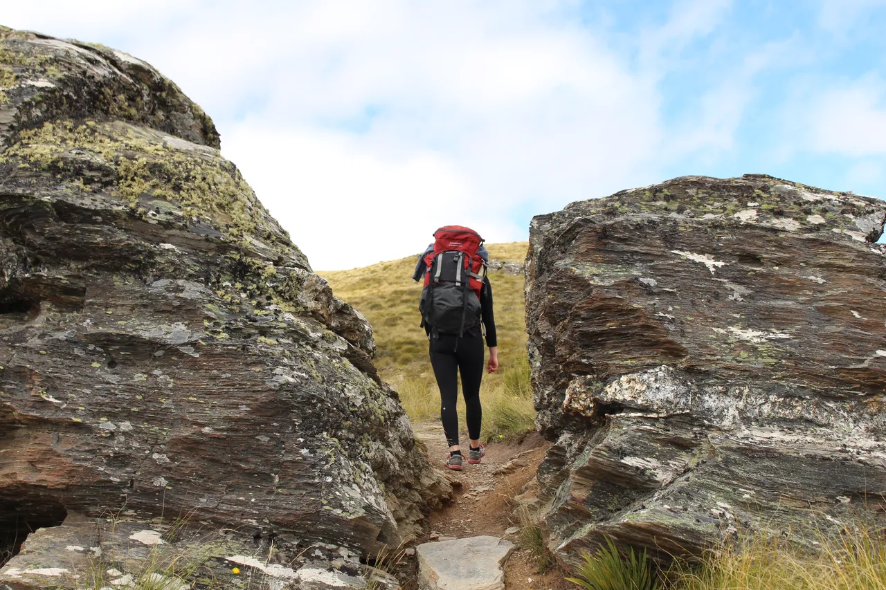 Welcome Rock Trails - Southland, New Zealand - Credit Great South (13)