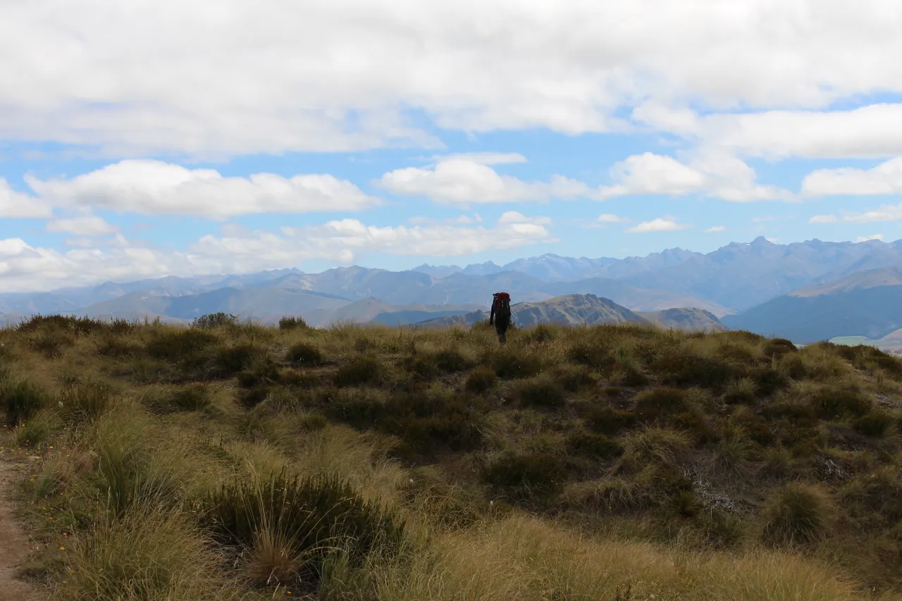 Welcome Rock Trails - Southland, New Zealand - Credit Great South (11)