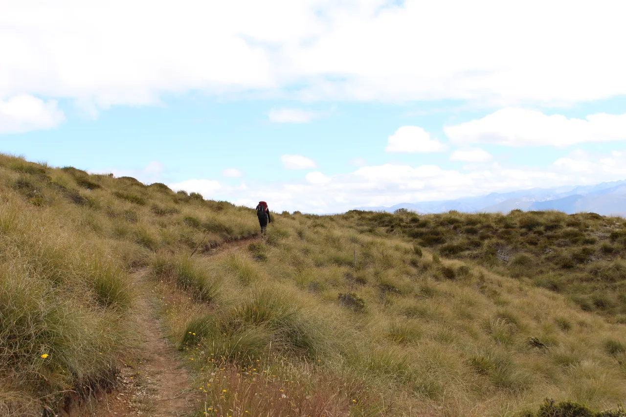 Welcome Rock Trails - Southland, New Zealand - Credit Great South (10)
