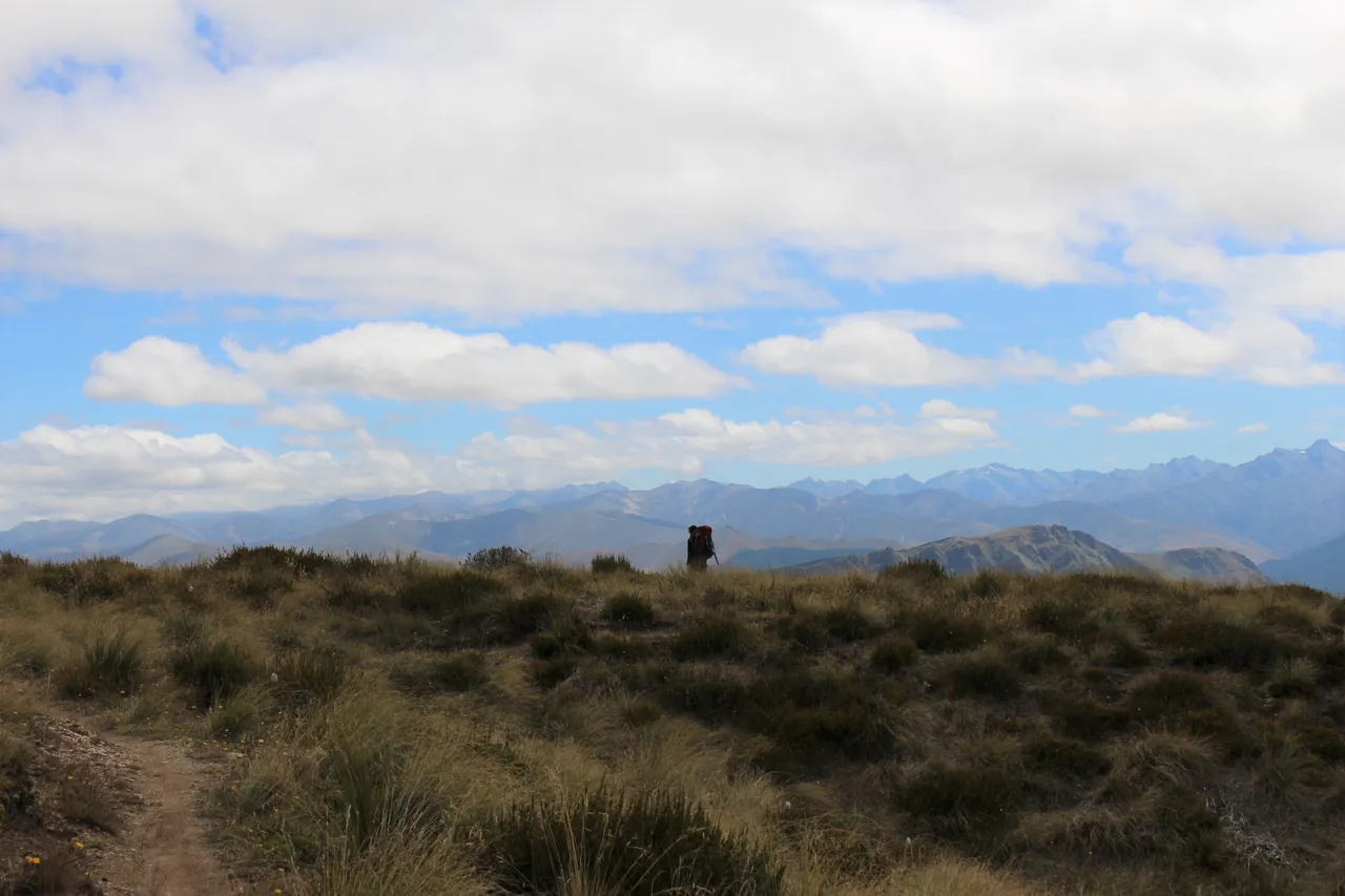 Welcome Rock Trails - Southland, New Zealand - Credit Great South (12)