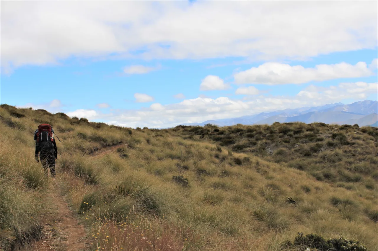 Welcome Rock Trails - Southland, New Zealand - Credit Great South (8)