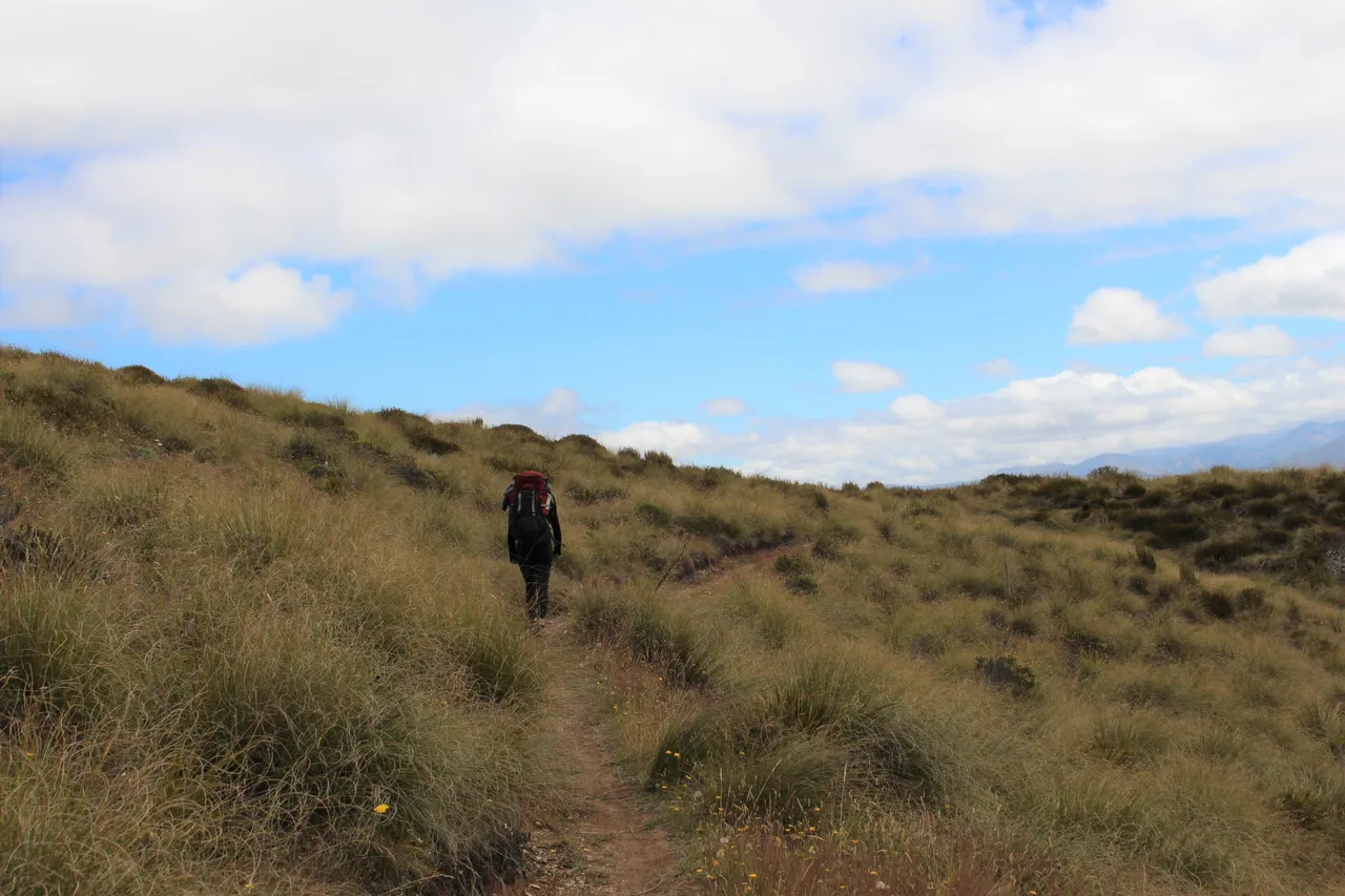 Welcome Rock Trails - Southland, New Zealand - Credit Great South (9)