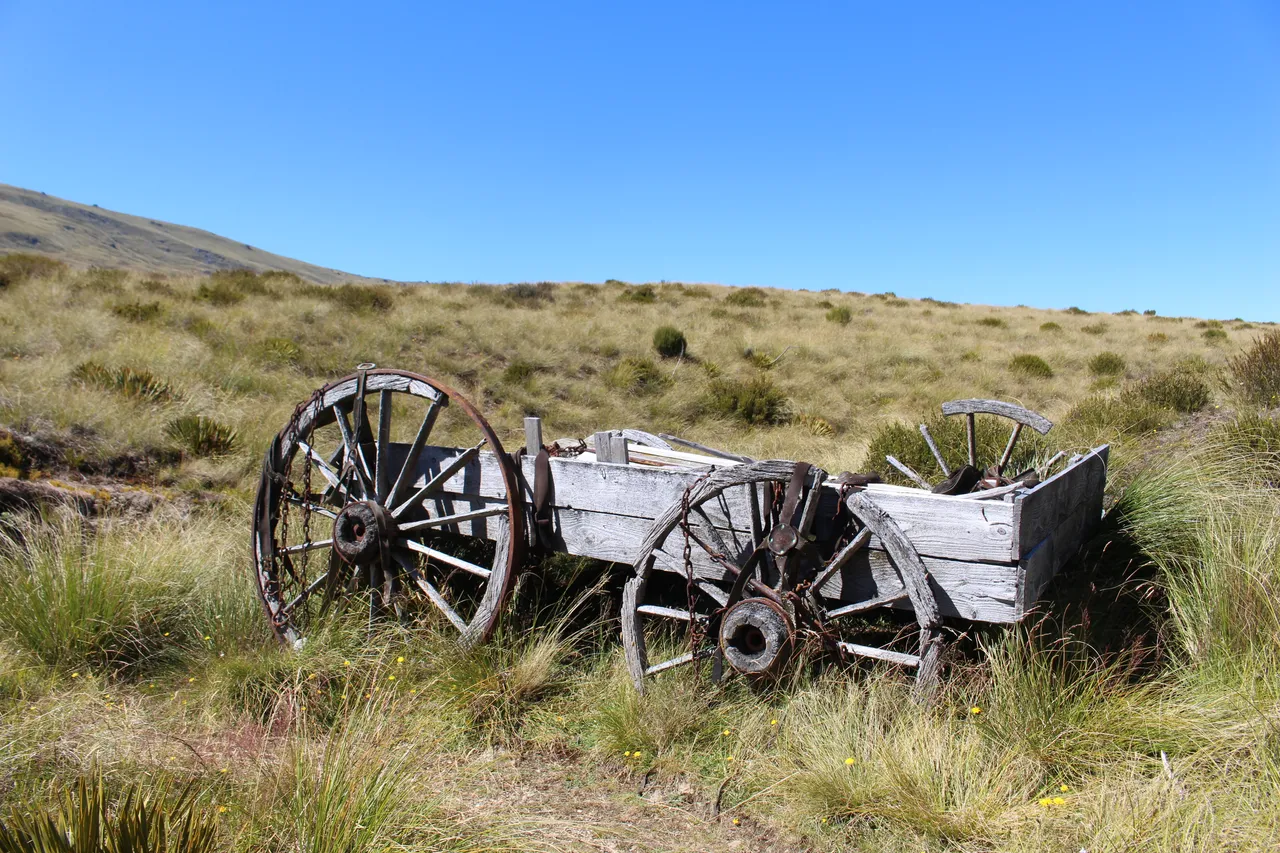 Welcome Rock Trails - Southland, New Zealand - Credit Great South (60)