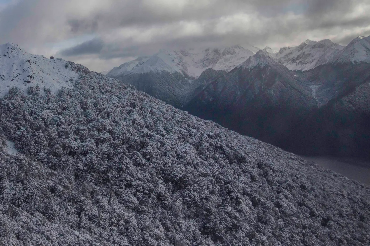 Fiordland - Southland, New Zealand - Credit Great South (2)