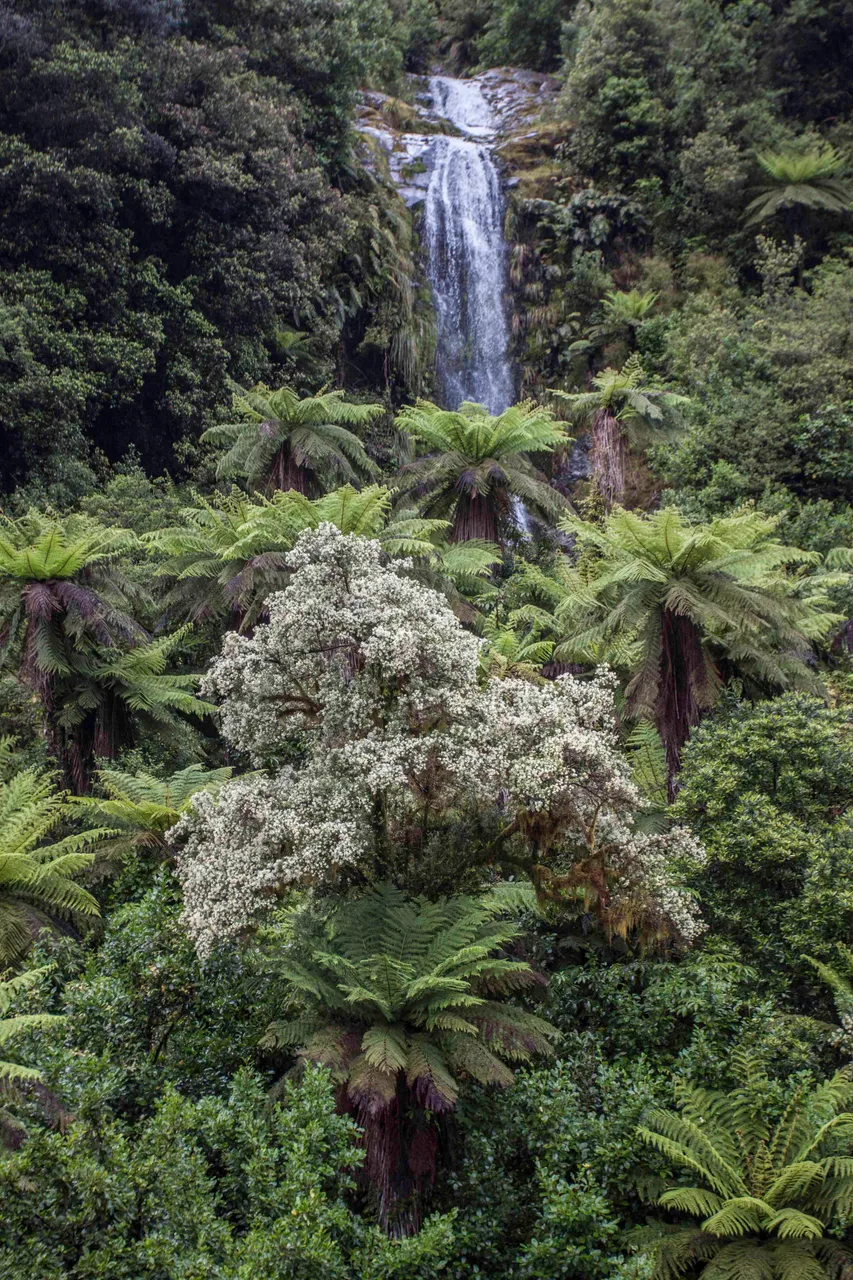 Waterfall - Southland, New Zealand - Credit Great South