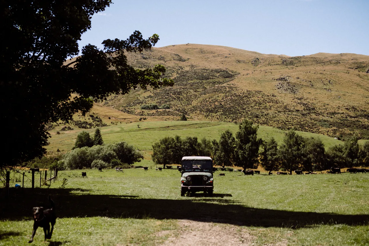 Welcome Rock Trails - Southland, New Zealand - Credit Francine Boer (1)