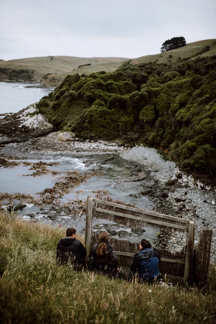 Catlins Mohua Park Guided Tours - Southland, New Zealand - Credit Francine Boer (4)