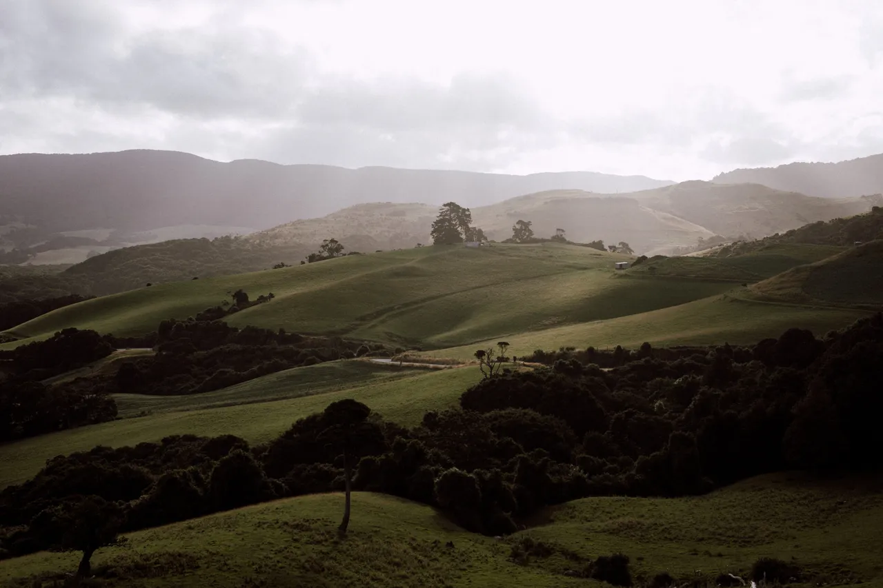 Catlins Mohua Park - Southland, New Zealand - Credit Francine Boer (2)