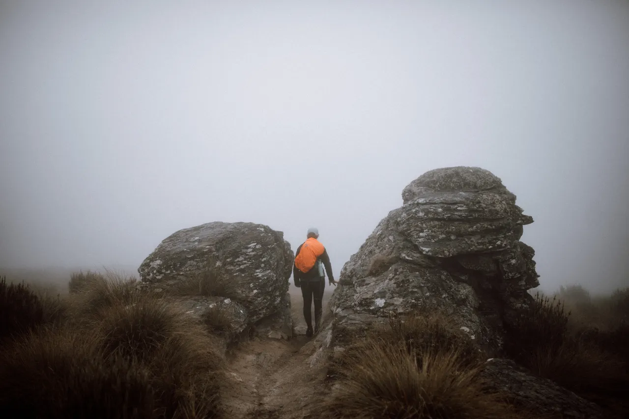 Welcome Rock Trails - Southland, New Zealand - Credit Francine Boer (8)