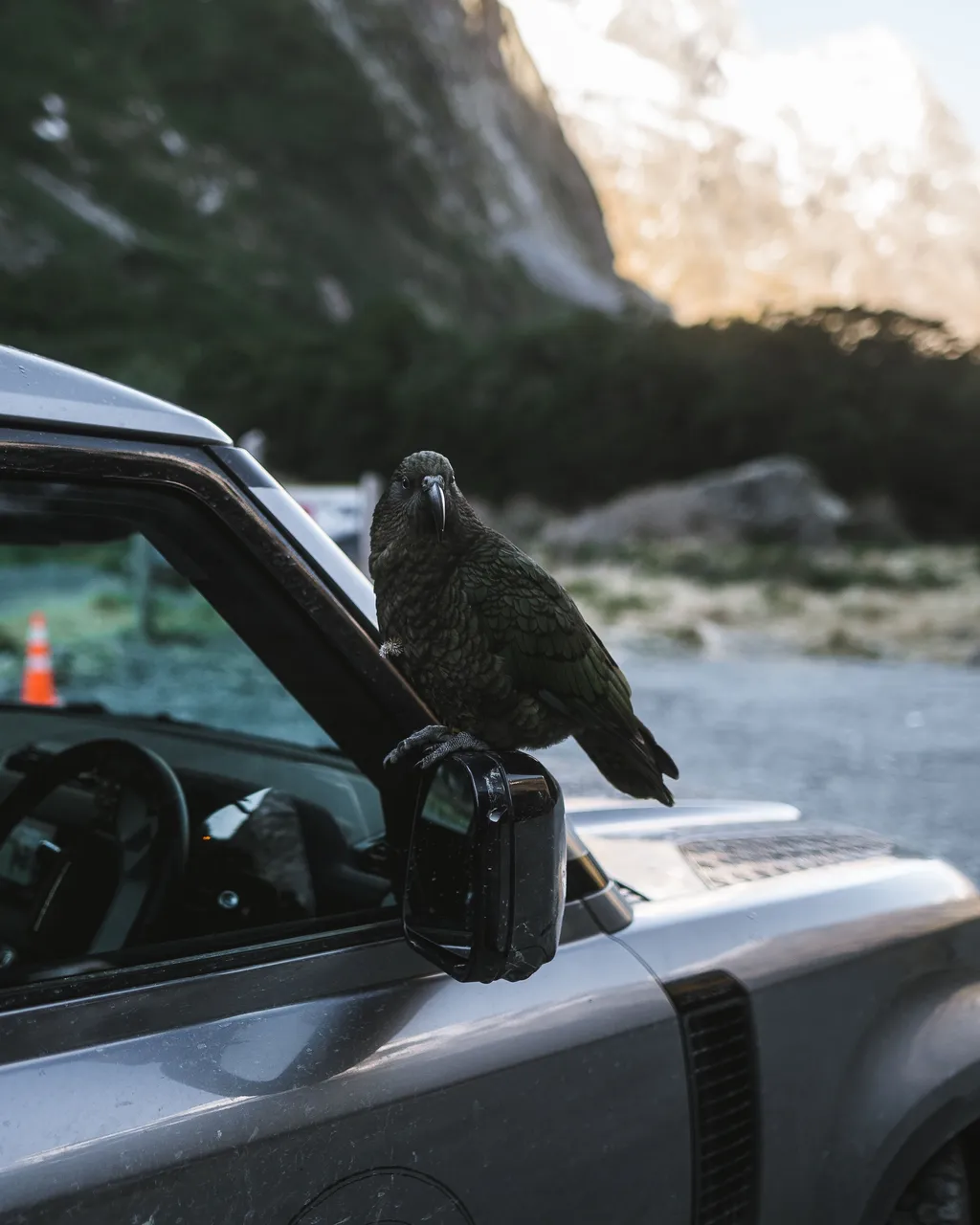 Milford Road - Southland, New Zealand - Credit Fin Matson (3)