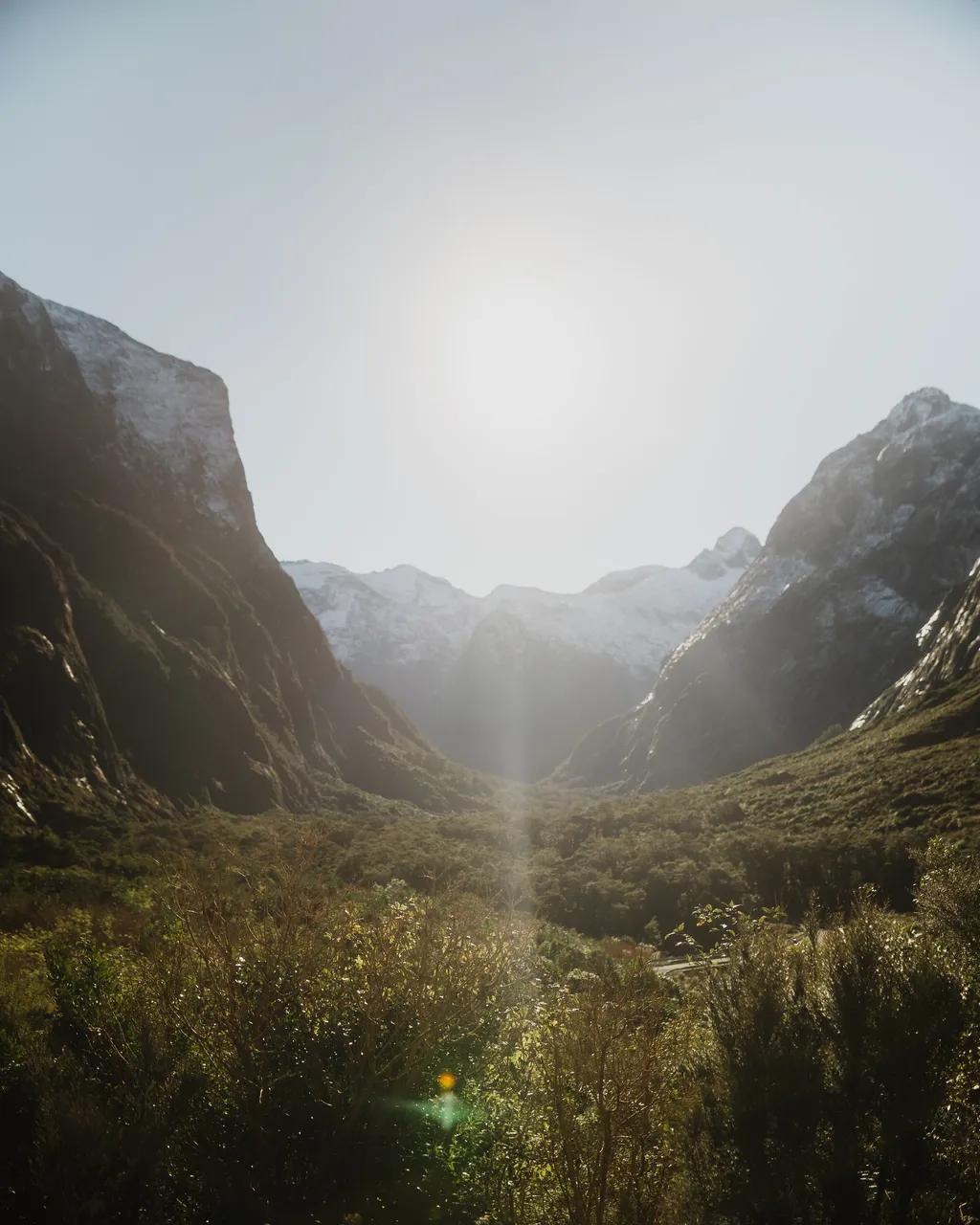 Milford Road - Southland, New Zealand - Credit Fin Matson (1)