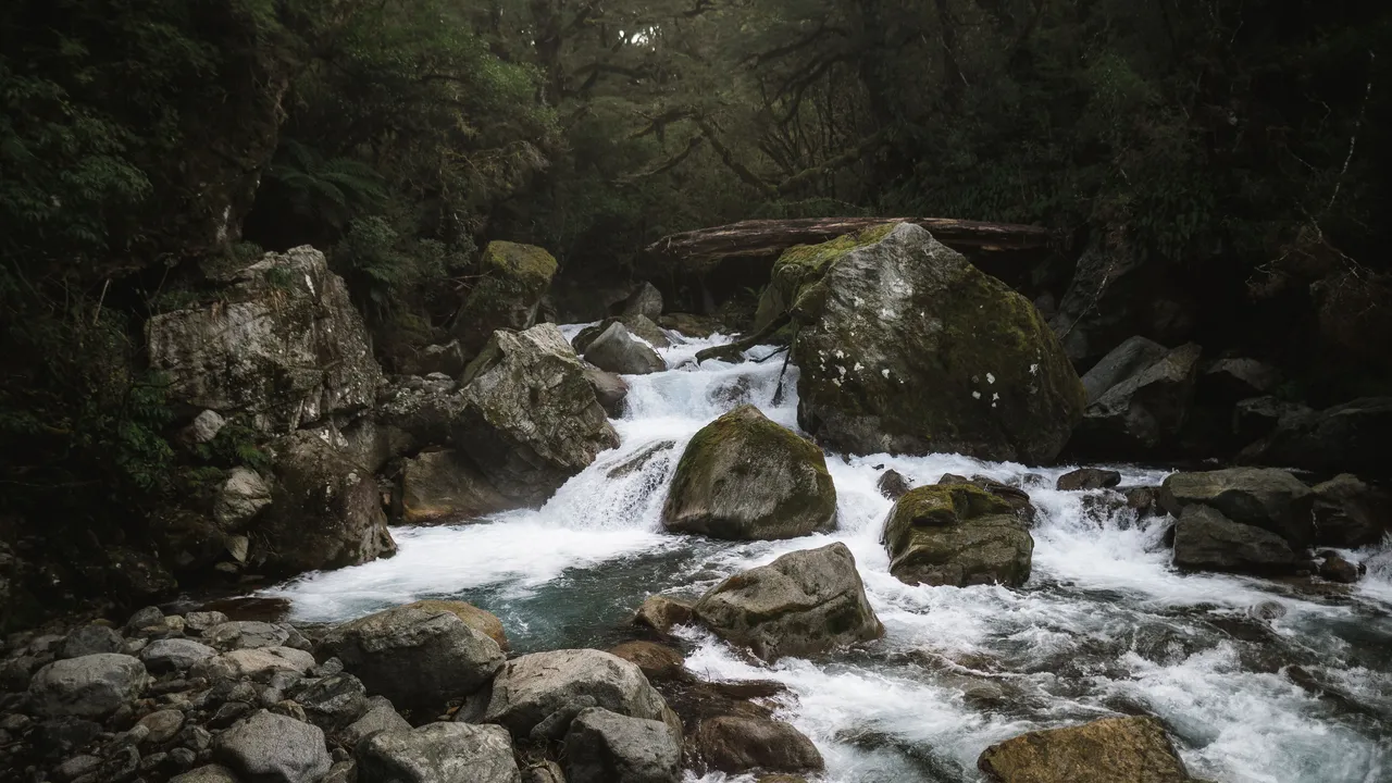 Lake Marian Track - Southland, New Zealand - Credit Fin Matson (3)