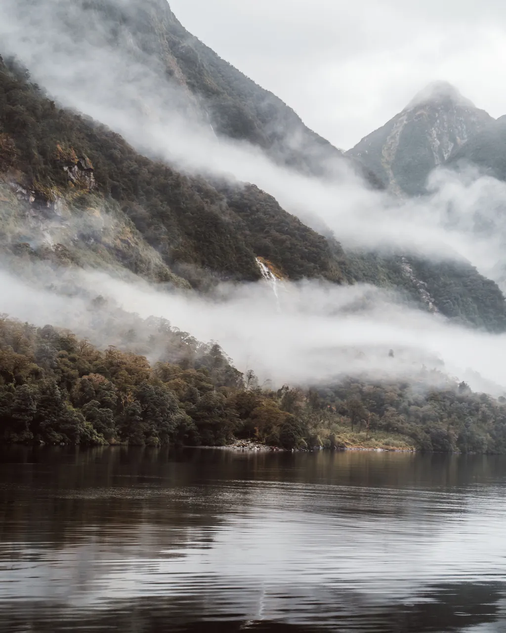 Doubtful Sound - Southland, New Zealand - Credit Fin Matson (28)
