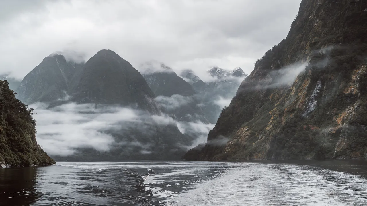 Doubtful Sound - Southland, New Zealand - Credit Fin Matson (29)