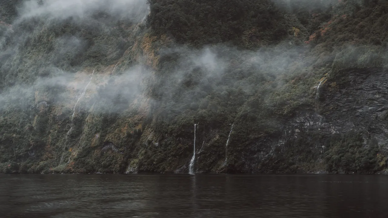 Doubtful Sound - Southland, New Zealand - Credit Fin Matson (30)