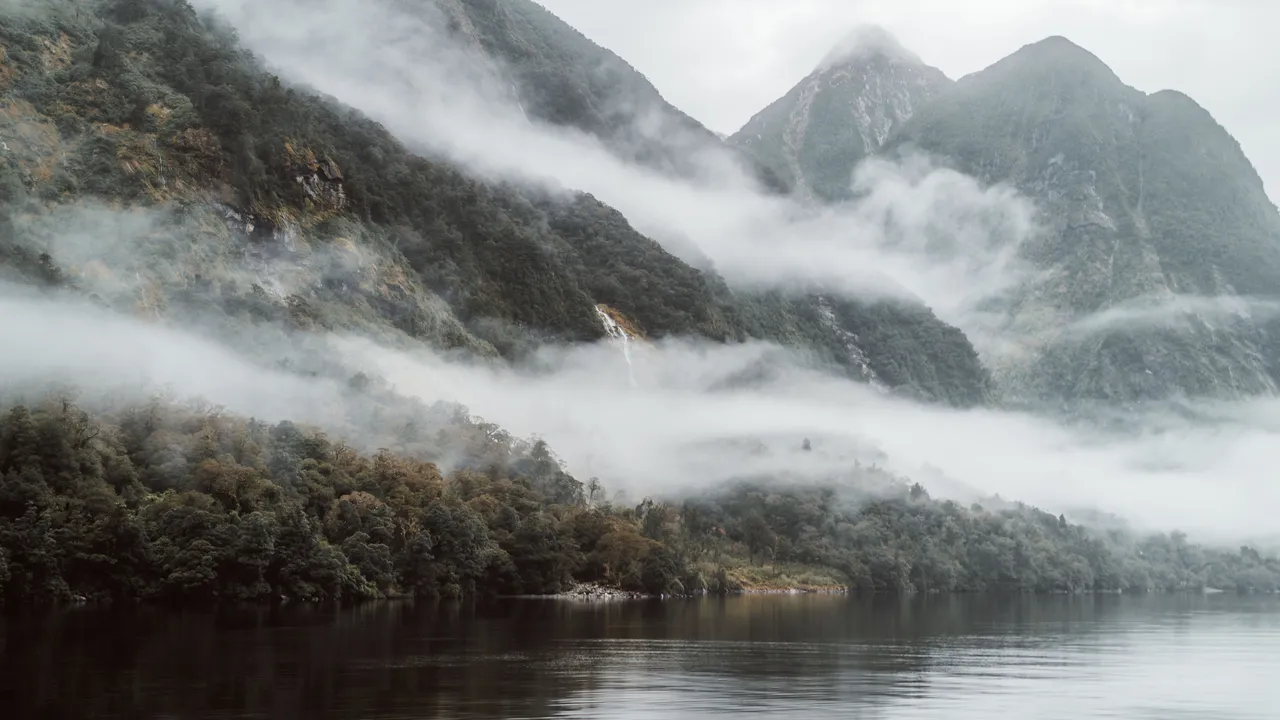 Doubtful Sound - Southland, New Zealand - Credit Fin Matson (27)