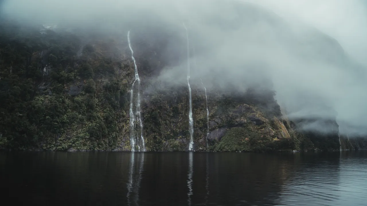 Doubtful Sound - Southland, New Zealand - Credit Fin Matson (19)