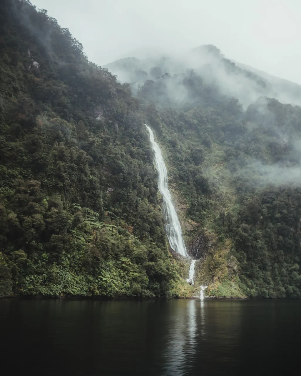 Doubtful Sound - Southland, New Zealand - Credit Fin Matson (10)