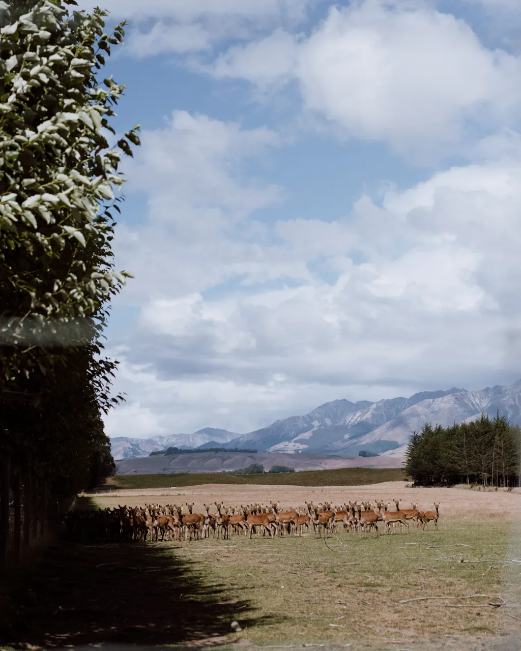 Cabot Lodge - Southland, New Zealand - Credit Francine Boer (6)
