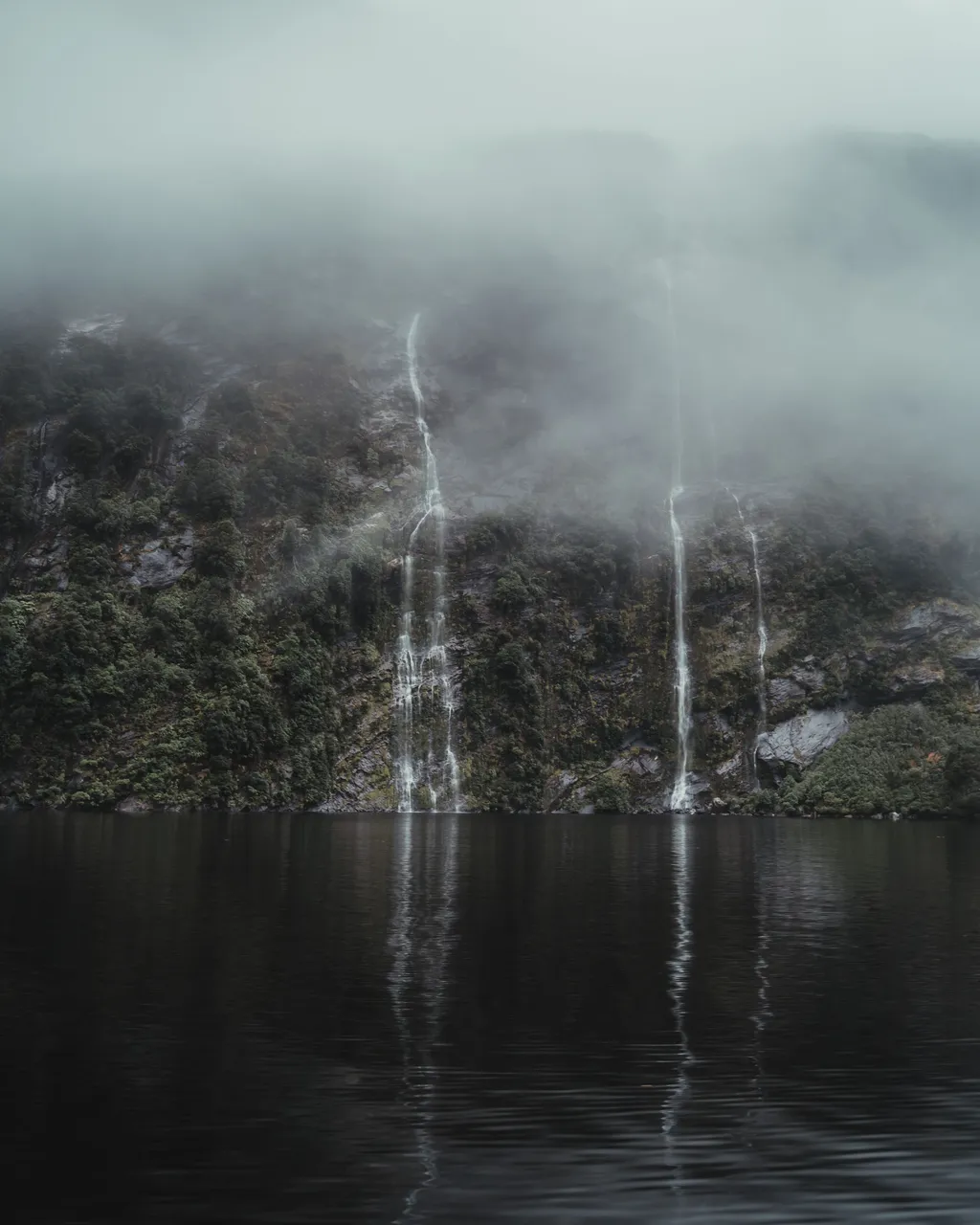 Doubtful Sound - Southland, New Zealand - Credit Fin Matson (20)