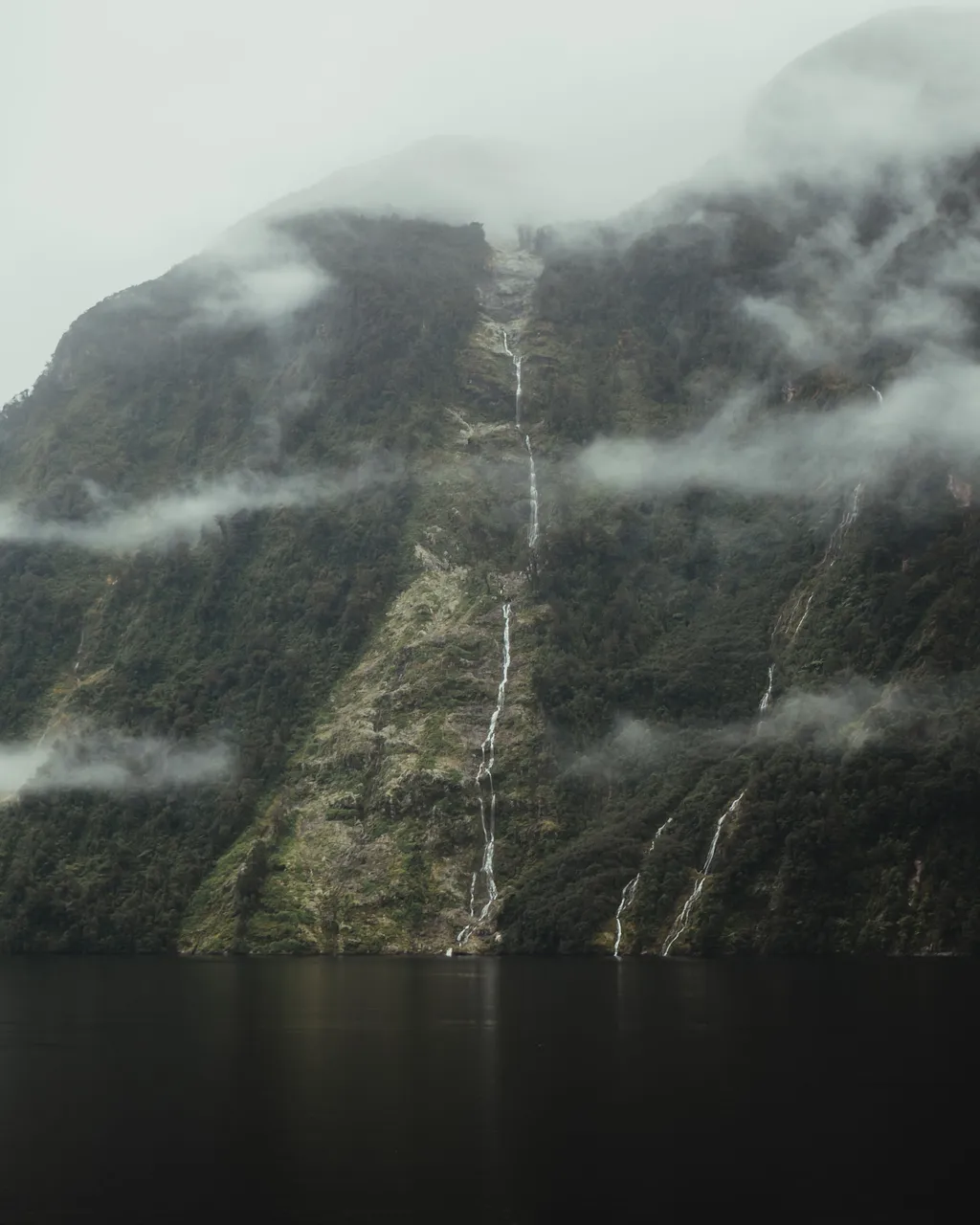 Doubtful Sound - Southland, New Zealand - Credit Fin Matson (4)