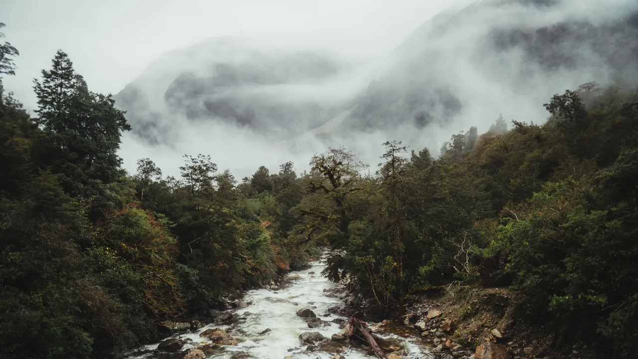 Doubtful Sound - Southland, New Zealand - Credit Fin Matson (3)