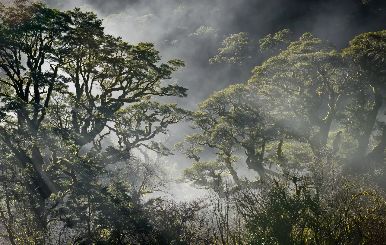 Fiordland - Southland, New Zealand - Credit Graham Dainty (4)