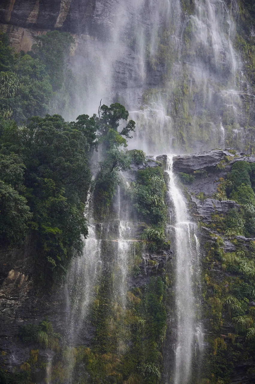 Fiordland - Southland, New Zealand - Credit Graham Dainty (3)