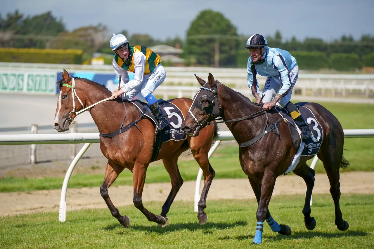 Ascot Park Christmas at the Races 2021 - Southland, New Zealand - Credit Great South (26)