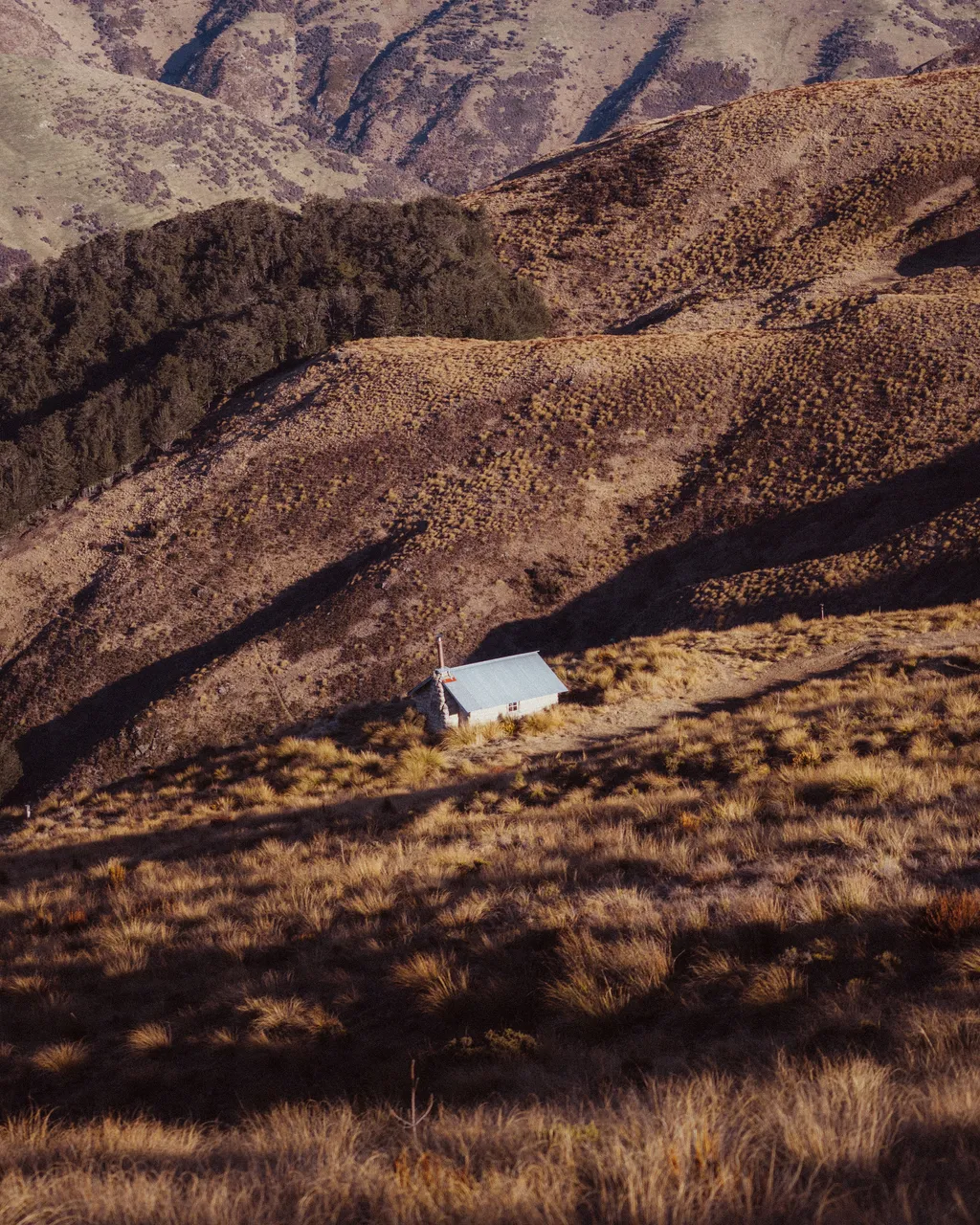 Welcome Rock Trails - Southland, New Zealand - Credit Fin Matson (1)