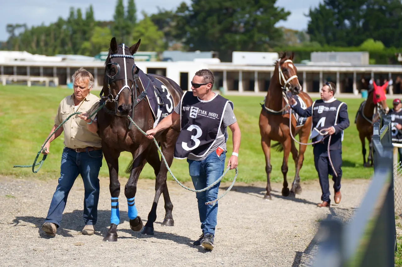 Ascot Park Christmas at the Races 2021 - Southland, New Zealand - Credit Great South (21)