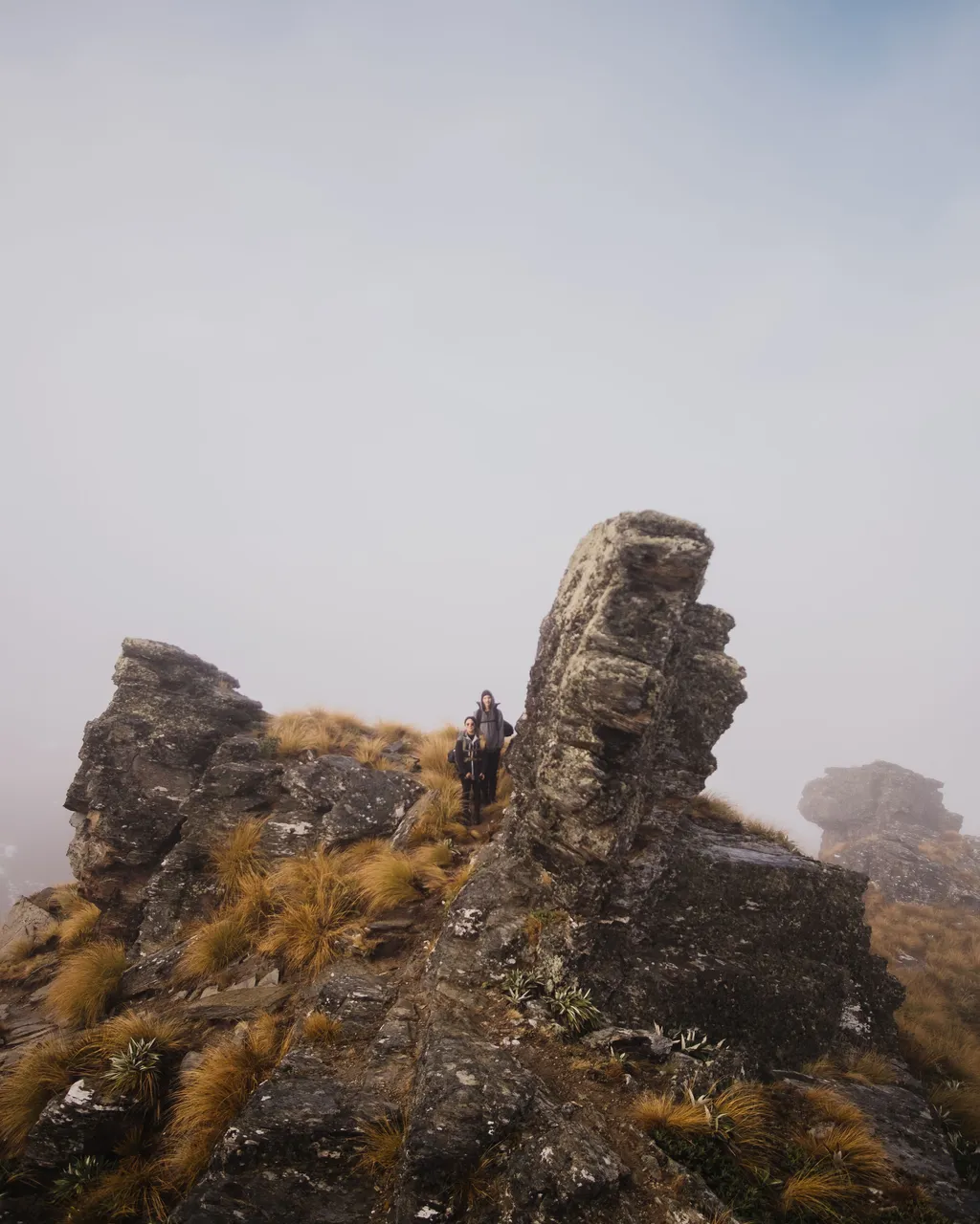 Welcome Rock Trails - Southland, New Zealand - Credit Fin Matson (3)