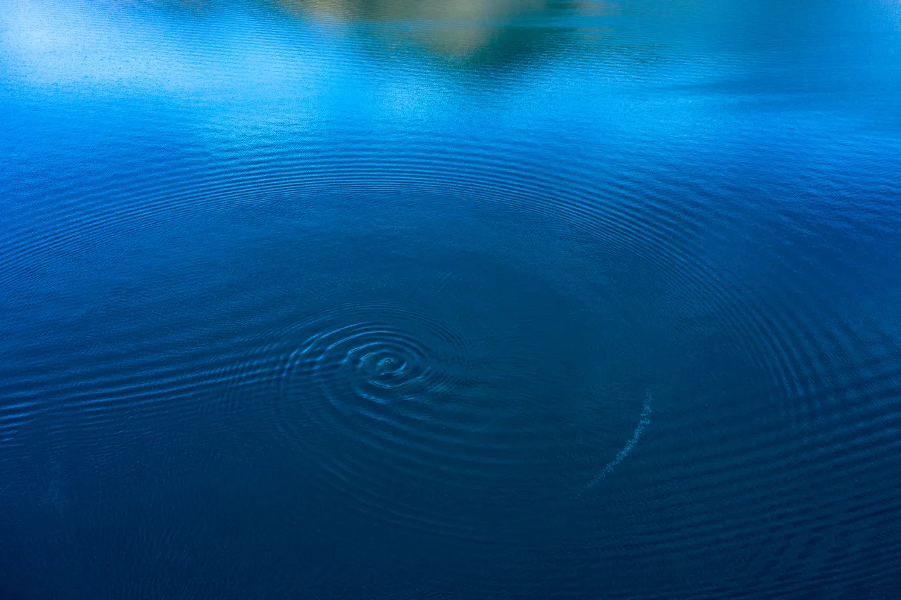 Water - Southland, New Zealand - Credit Chris McLennan