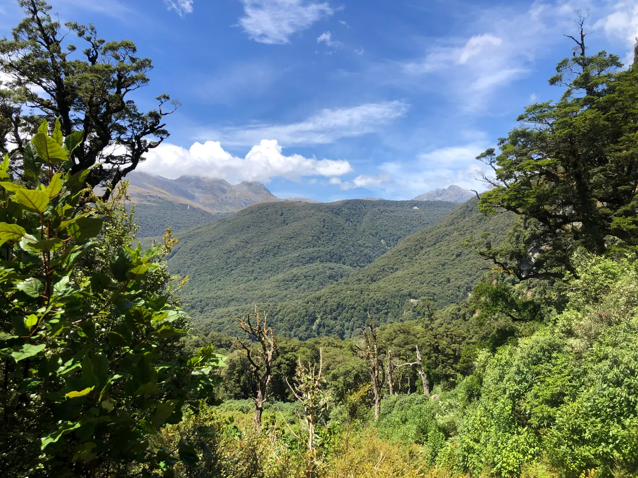 Lake Marian Track - Southland, New Zealand - Credit Great South (6)