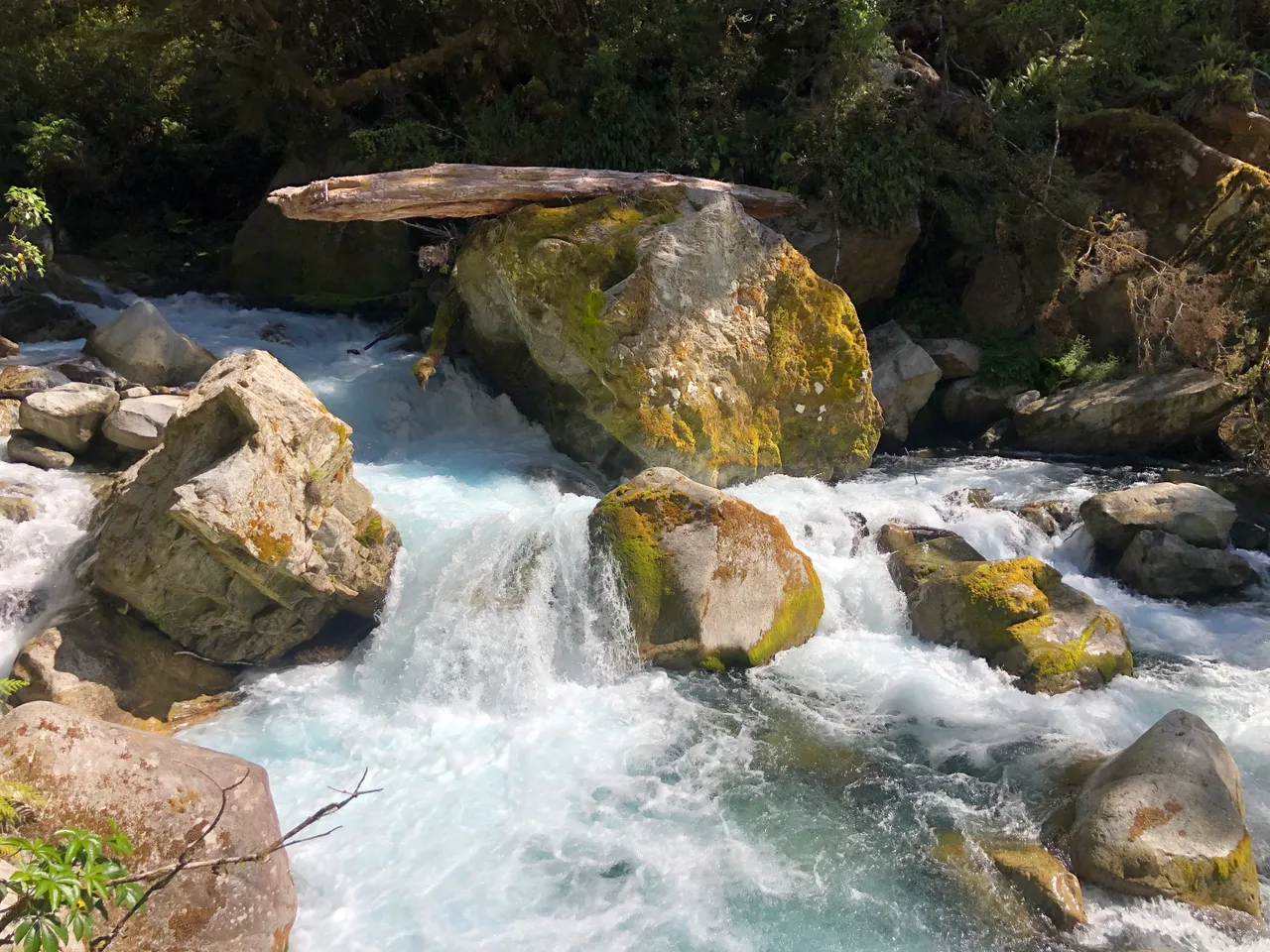 Lake Marian Track - Southland, New Zealand - Credit Great South (10)