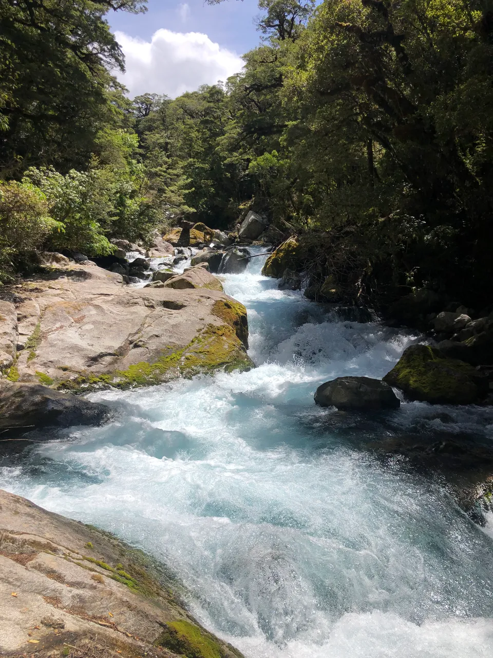 Lake Marian Track - Southland, New Zealand - Credit Great South (12)