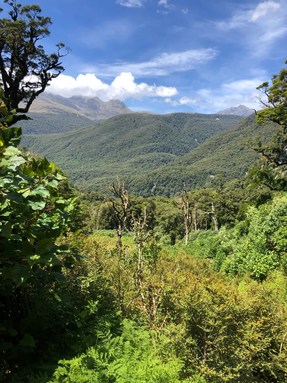 Lake Marian Track - Southland, New Zealand - Credit Great South (7)