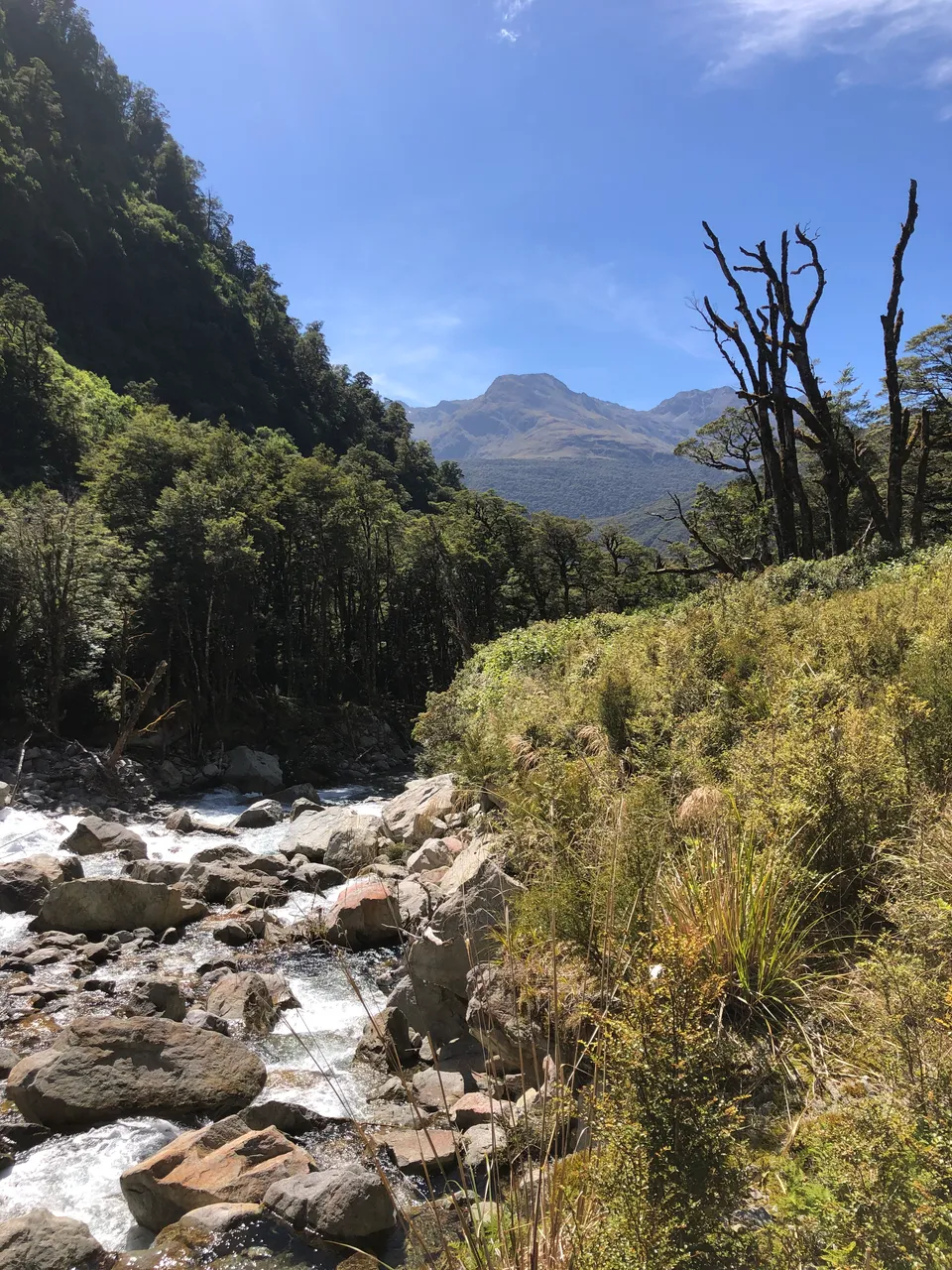 Lake Marian Track - Southland, New Zealand - Credit Great South (8)