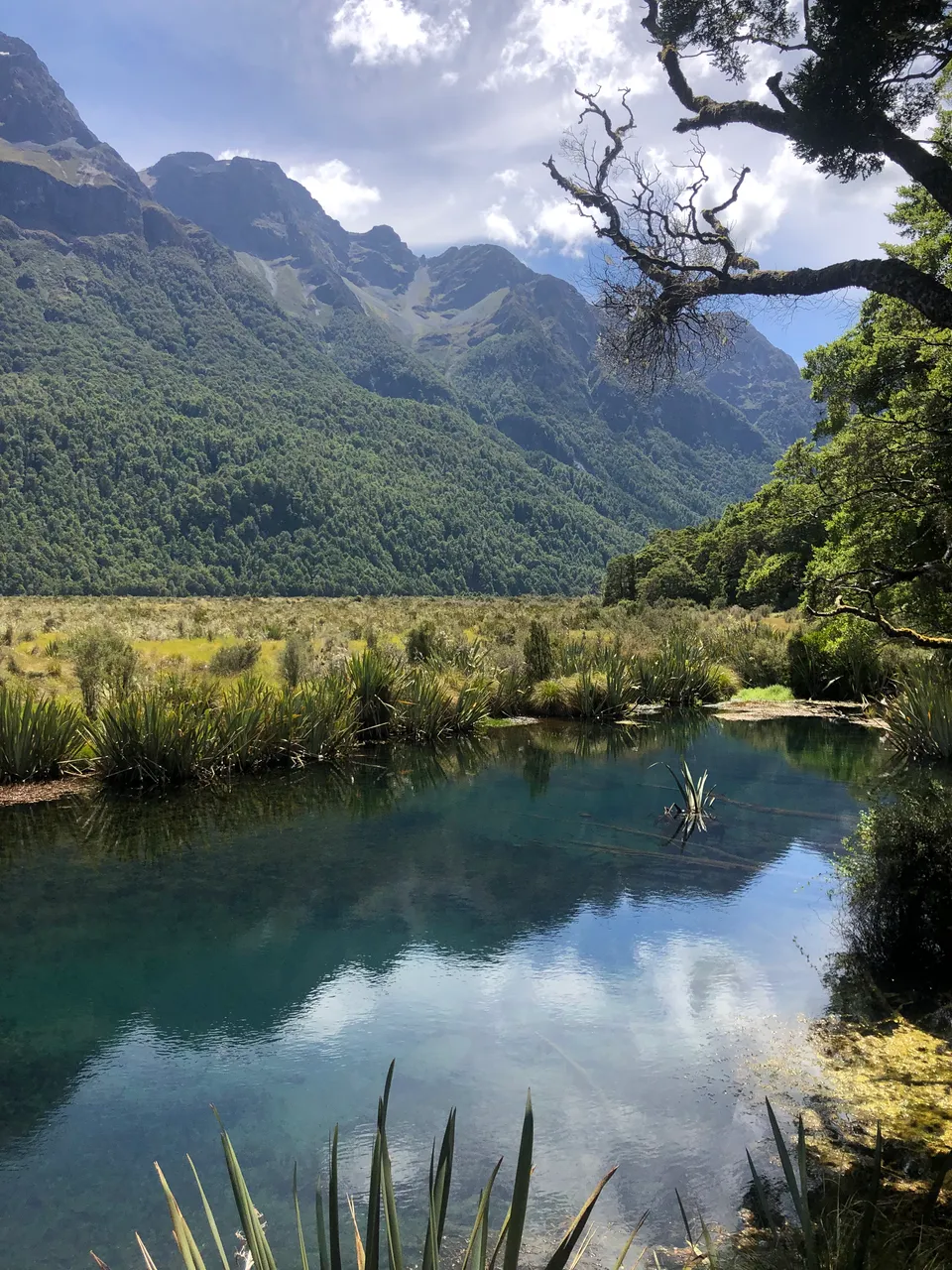 Mirror Lakes - Southland, New Zealand - Credit Great South (1)