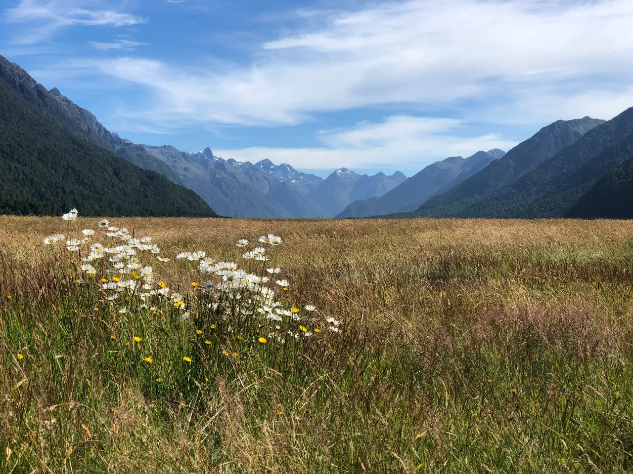 Fiordland - Southland, New Zealand - Credit Great South (6)