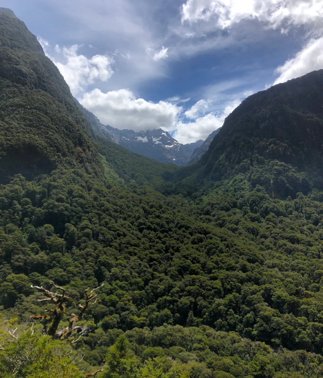 Fiordland - Southland, New Zealand - Credit Great South (2)
