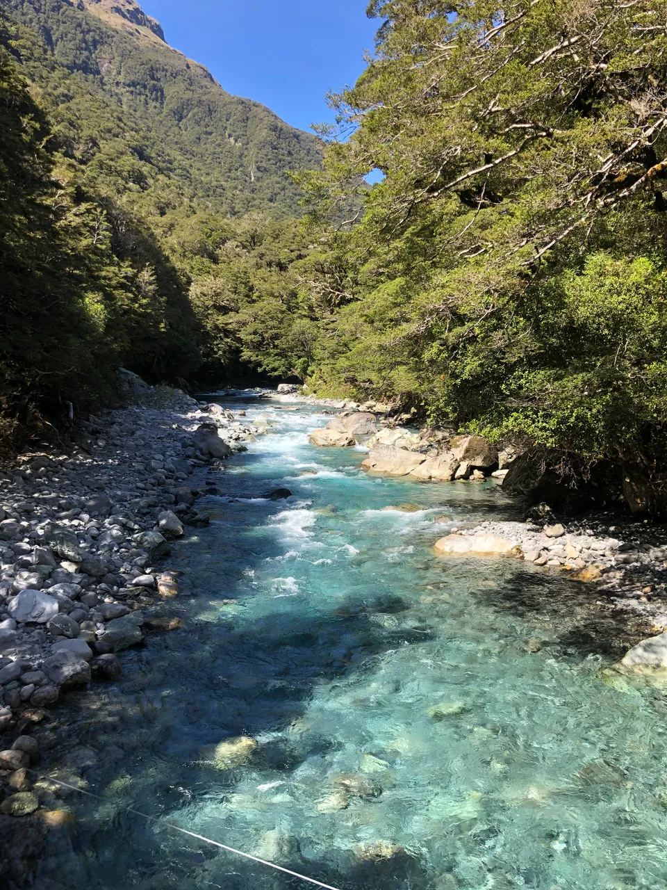 Lake Marian Track - Southland, New Zealand - Credit Great South (15)