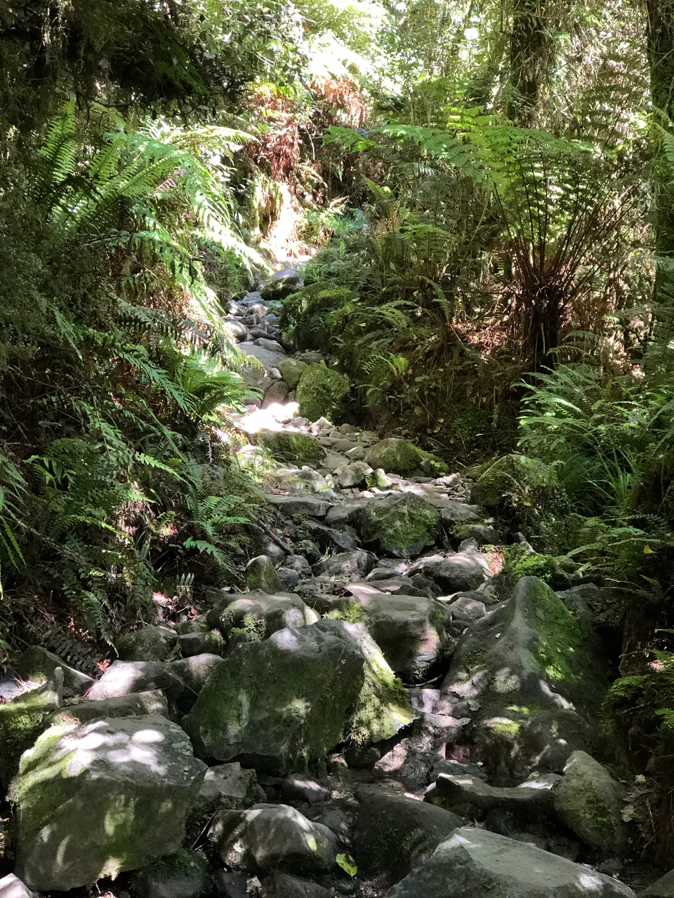 Lake Marian Track - Southland, New Zealand - Credit Great South (17)