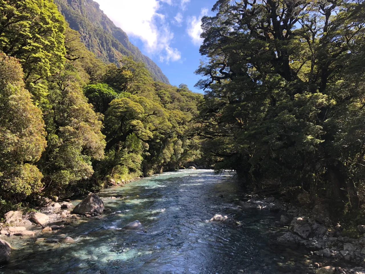 Lake Marian Track - Southland, New Zealand - Credit Great South (14)