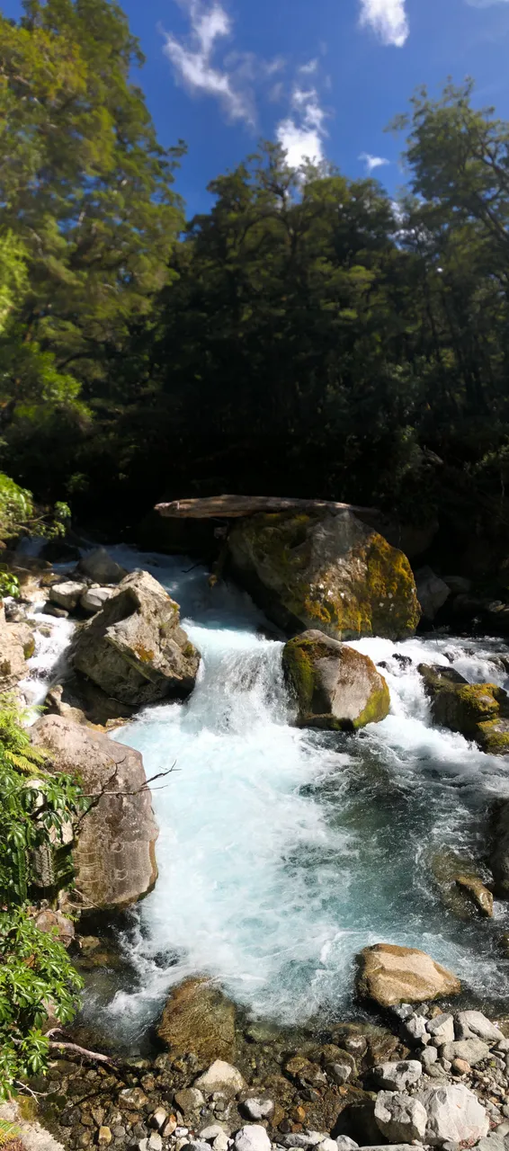 Lake Marian Track - Southland, New Zealand - Credit Great South (9)