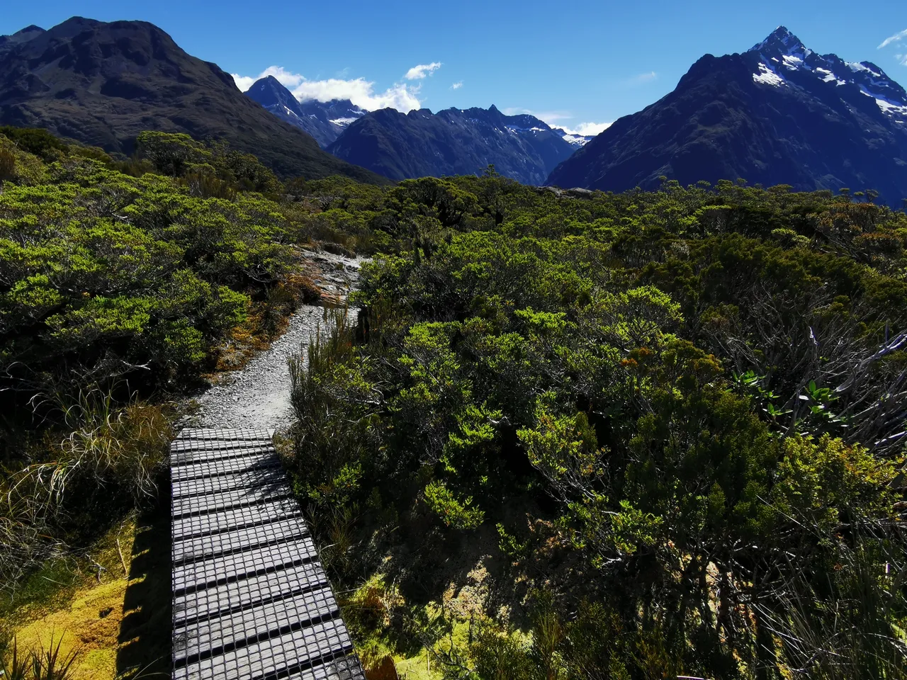 Key Summit Track - Southland, New Zealand - Credit Great South (2)