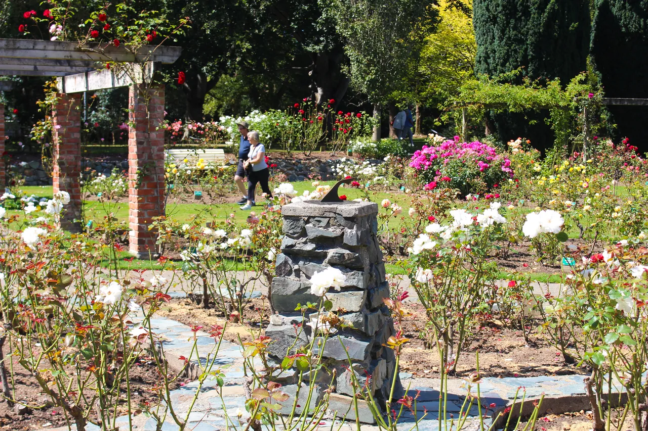Queens Park - Southland, New Zealand - Credit Great South (5)