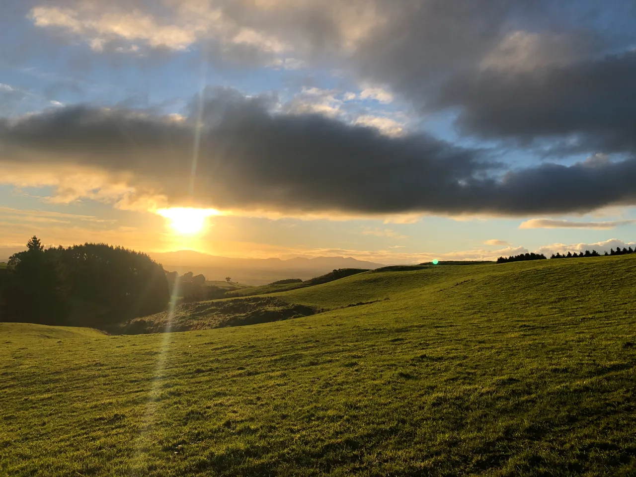 Farmland - Southland, New Zealand - Credit Great South (11)