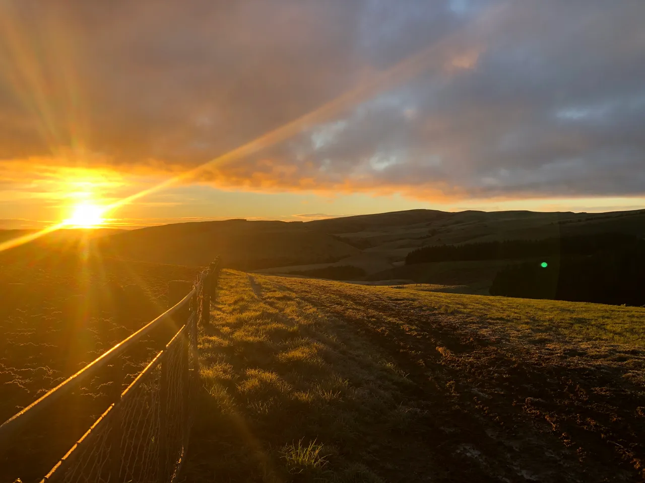 Farmland - Southland, New Zealand - Credit Great South (9)